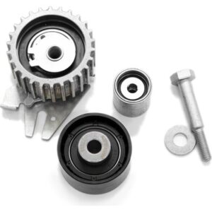 FİAT EGEA V KAYIS GERGI RULMANI 1.6 MULTİJET