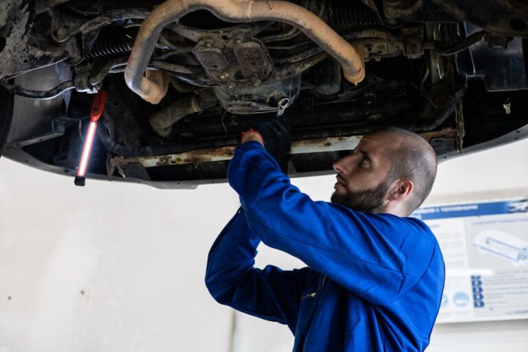 Ford Focus Panjur Petekli