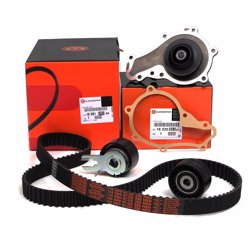 Citroën Citroen Xsara 1.4 Hdi Triger Seti ve Devirdaim Komple Set Orijinal | Orijinal Yedek Parça | 1609120380