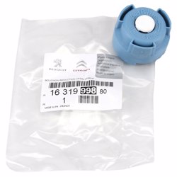 Citroën Citroen C4 Picasso Adblue Depo Kapağı Orijinal | Orijinal Yedek Parça | 1631999880