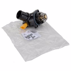 Citroën Citroen C2 1.4 Benzinli Termostat Orijinal | Orijinal Yedek Parça | 1336.Z2