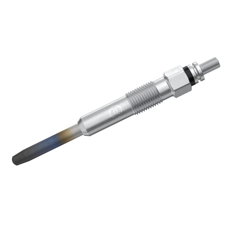 BOSCH BCH 0250202020 | Kizdirma Bujisi